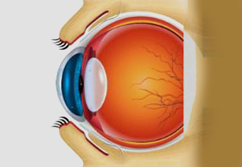 diabetic_retinopathy_img